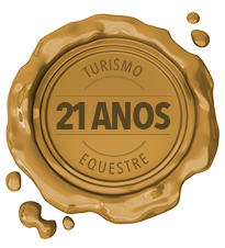 20 anos