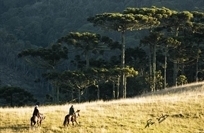 Travessia - Cavalgada Progressiva  