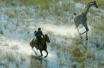 Safari a cavalo 