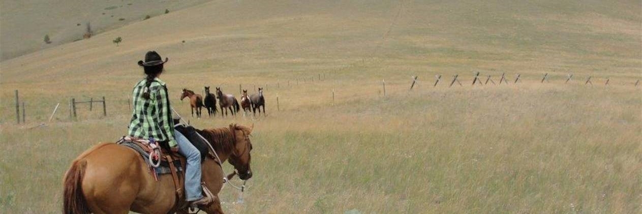 Montana - Rocking Ranch